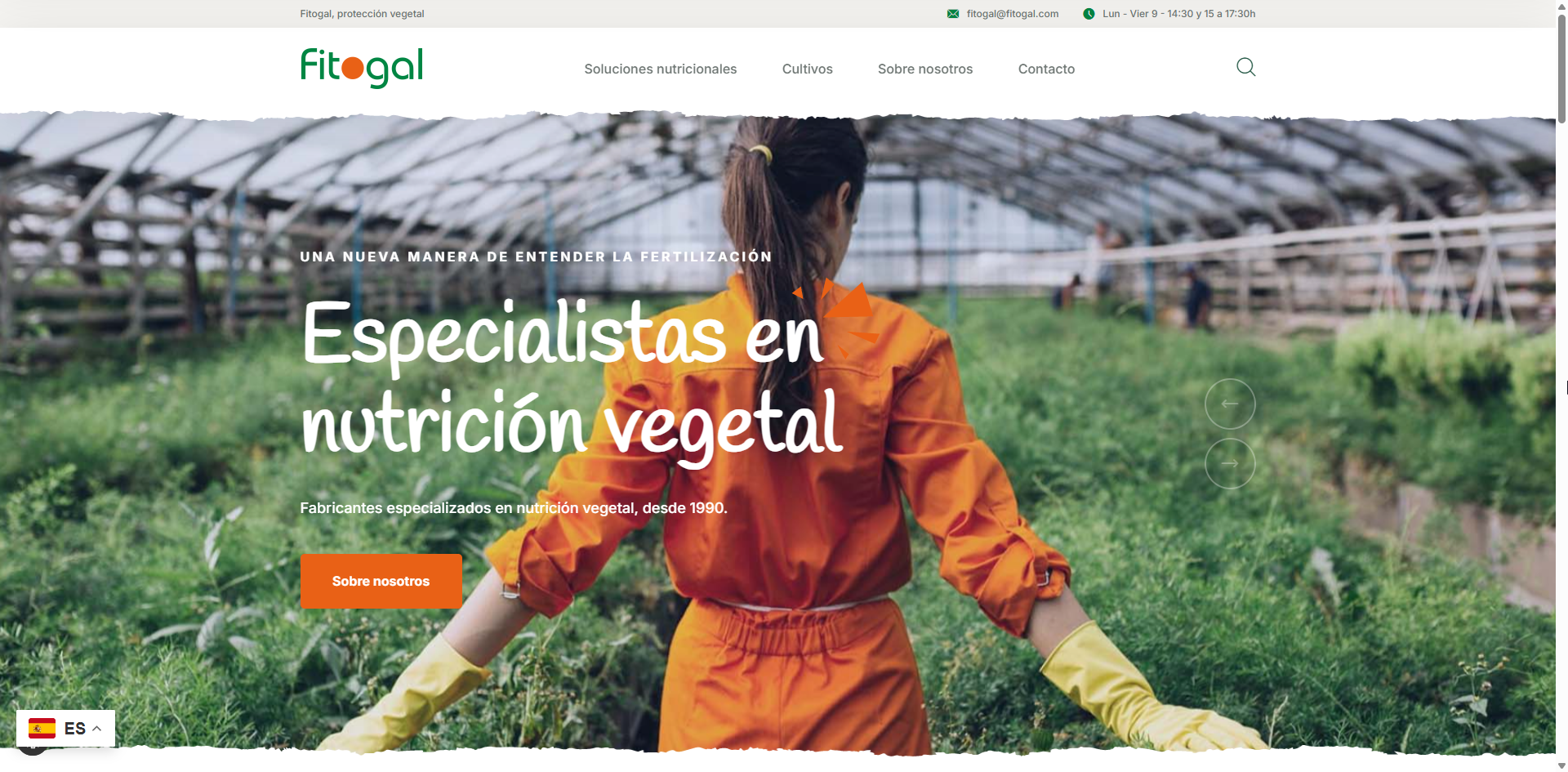 Desarrollo de las webs del Grupo Fitovan y sus distintas marcas