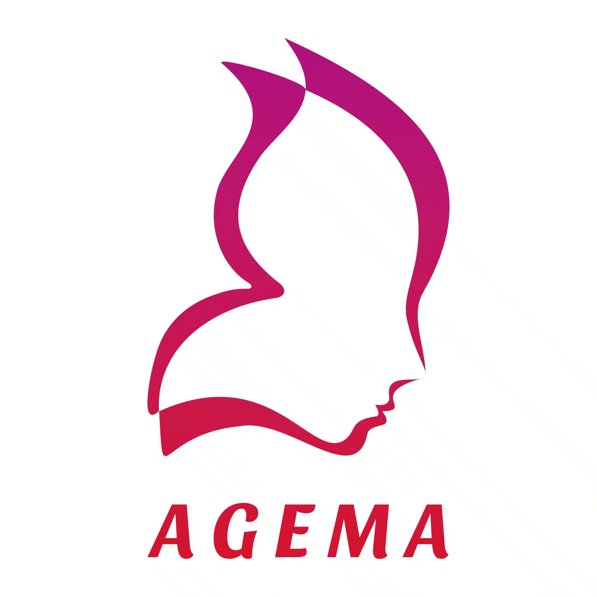 Logotipo e identidad visual diseñados para AGEMA en Guadalajara