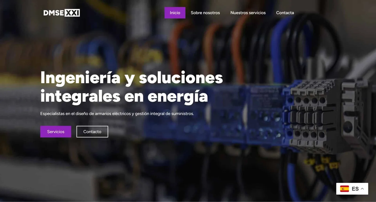 Página web corporativa para DMSE Página web corporativa para DMSE